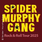 Spider Murphy Gang - Elektrisch - Rock' n Roll Tour