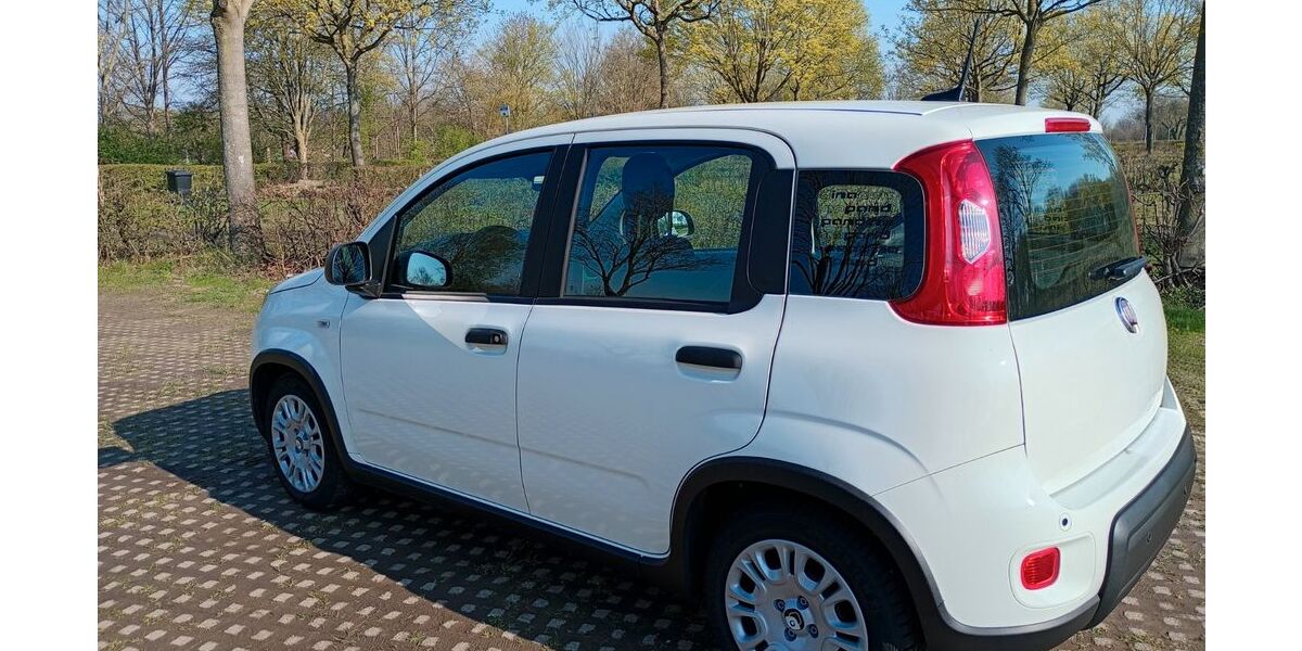 Fiat Panda 6.500 km 12.600 &euro; Wesel 46485