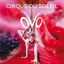 Komfort-Upgrade - Cirque du Soleil - OVO 04.02.2027 Rudolf Weber-ARENA