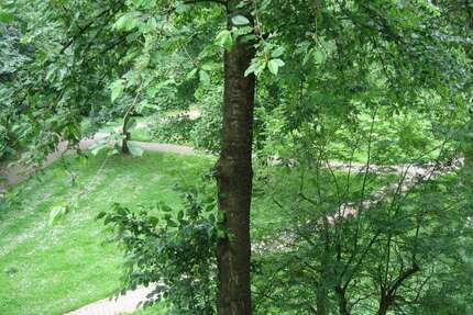 Wohnung Herten Disteln - 3 Zimmer, 81 m&sup2;, 580&euro; | Angebot:26266918