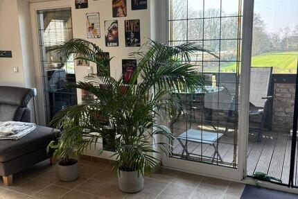 Wohnung Rheurdt - 1 Zimmer, 125 m&sup2;, 1.200&euro; | Angebot:25539392