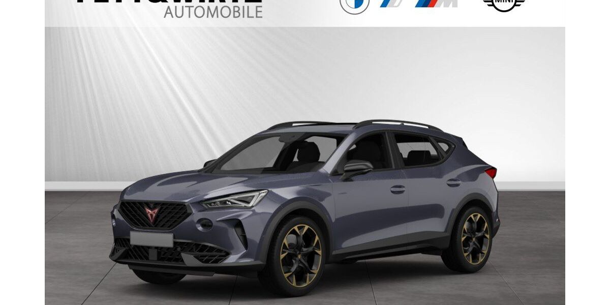 Cupra Formentor 47.900 km 28.890 &euro; Moers 47441